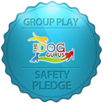 Group play safety pledge